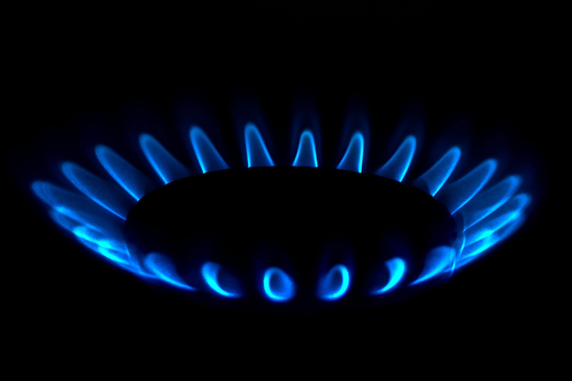 Запуск сервиса Gasworkers  
Компания ГАЗТЕХ объявила о полноценном запуске платформы Gasworkers.